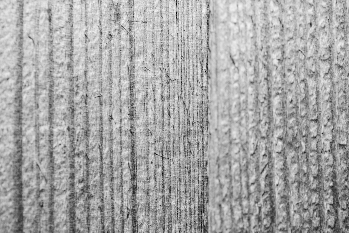 Berry Gwen Going With The Grain 1