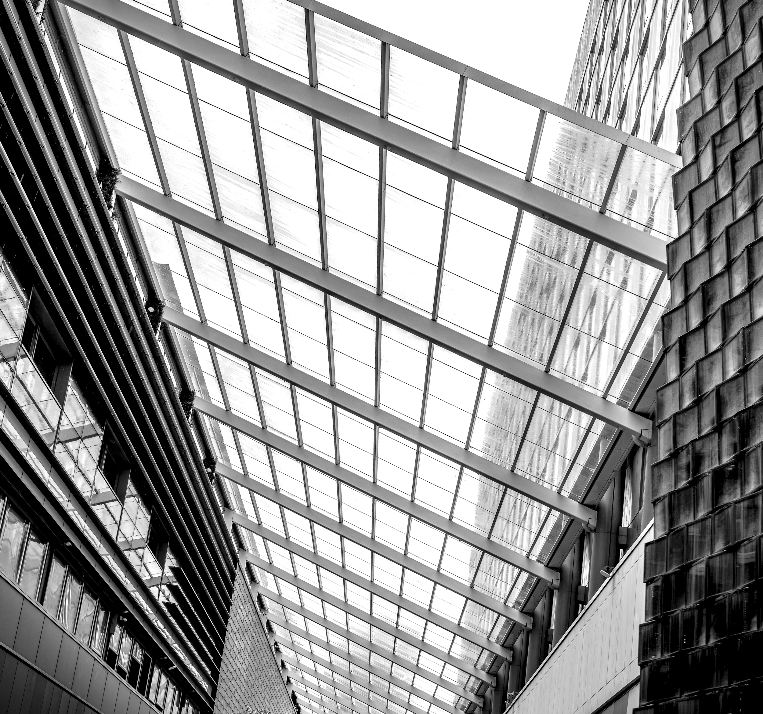 Skylight 1