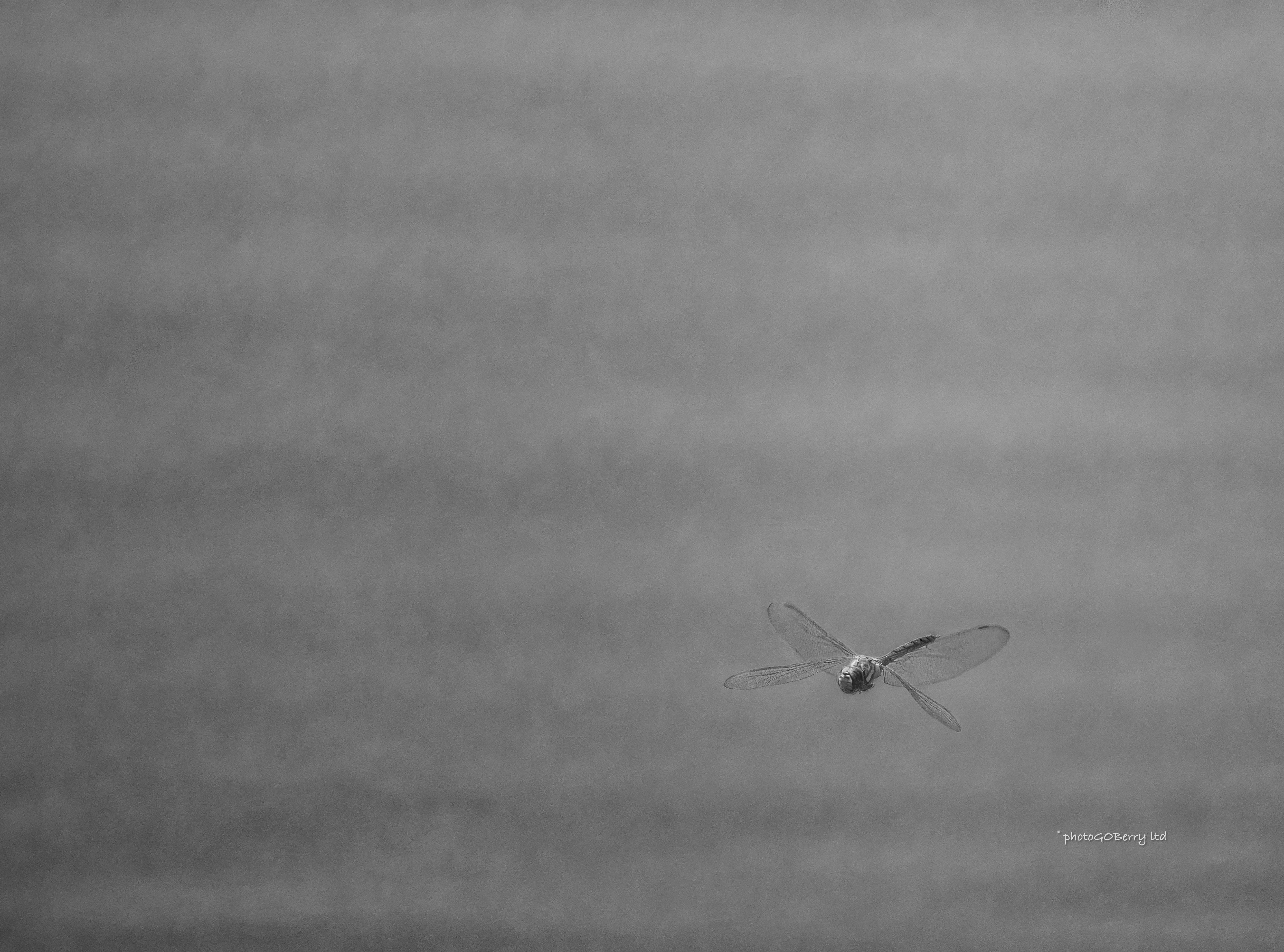 Dragon Over Water 1