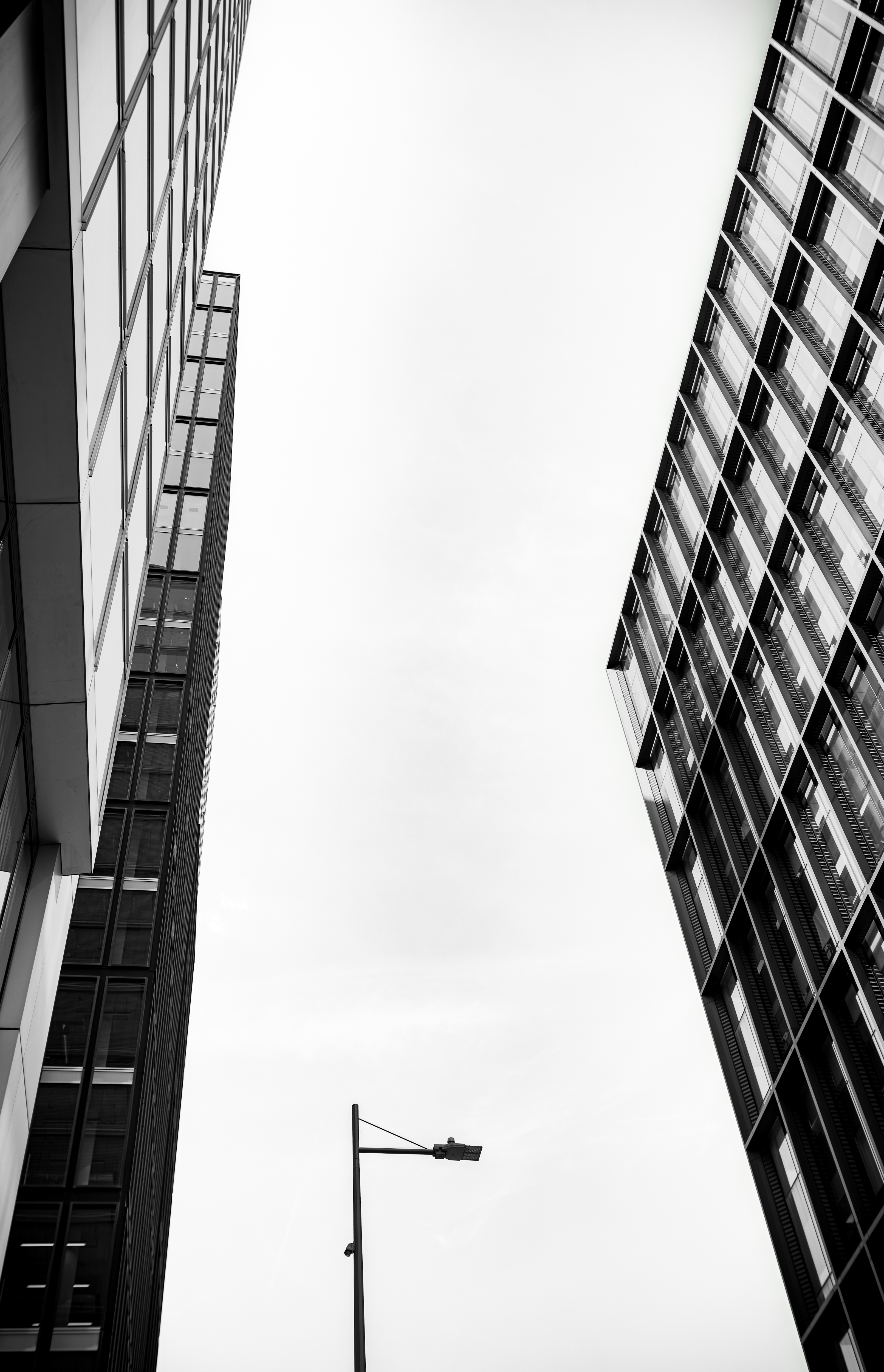 Westfield Looking Up Mono2 1