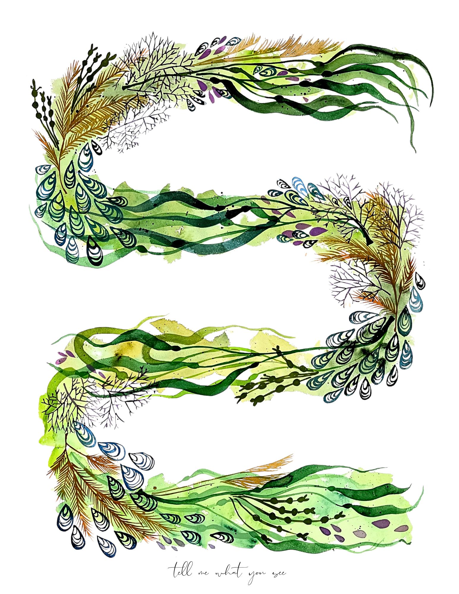 Tell Me What You See   Seaweed Study 30 X 44 Watercolor On Cotton Rag Paper Kristin Fuhrmann Simmons