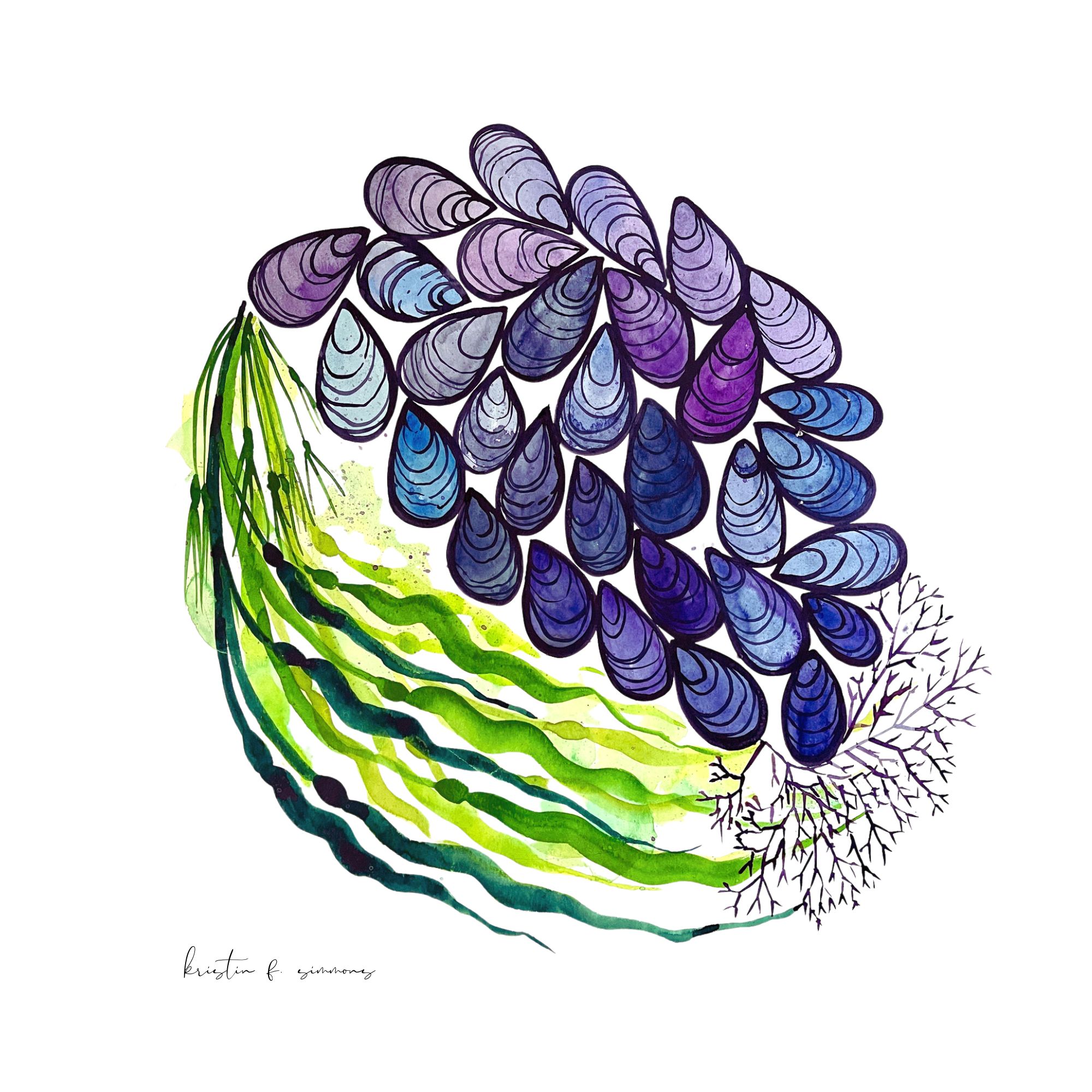 Mussel Seaweed Art Kristin Fuhrmann Simmons