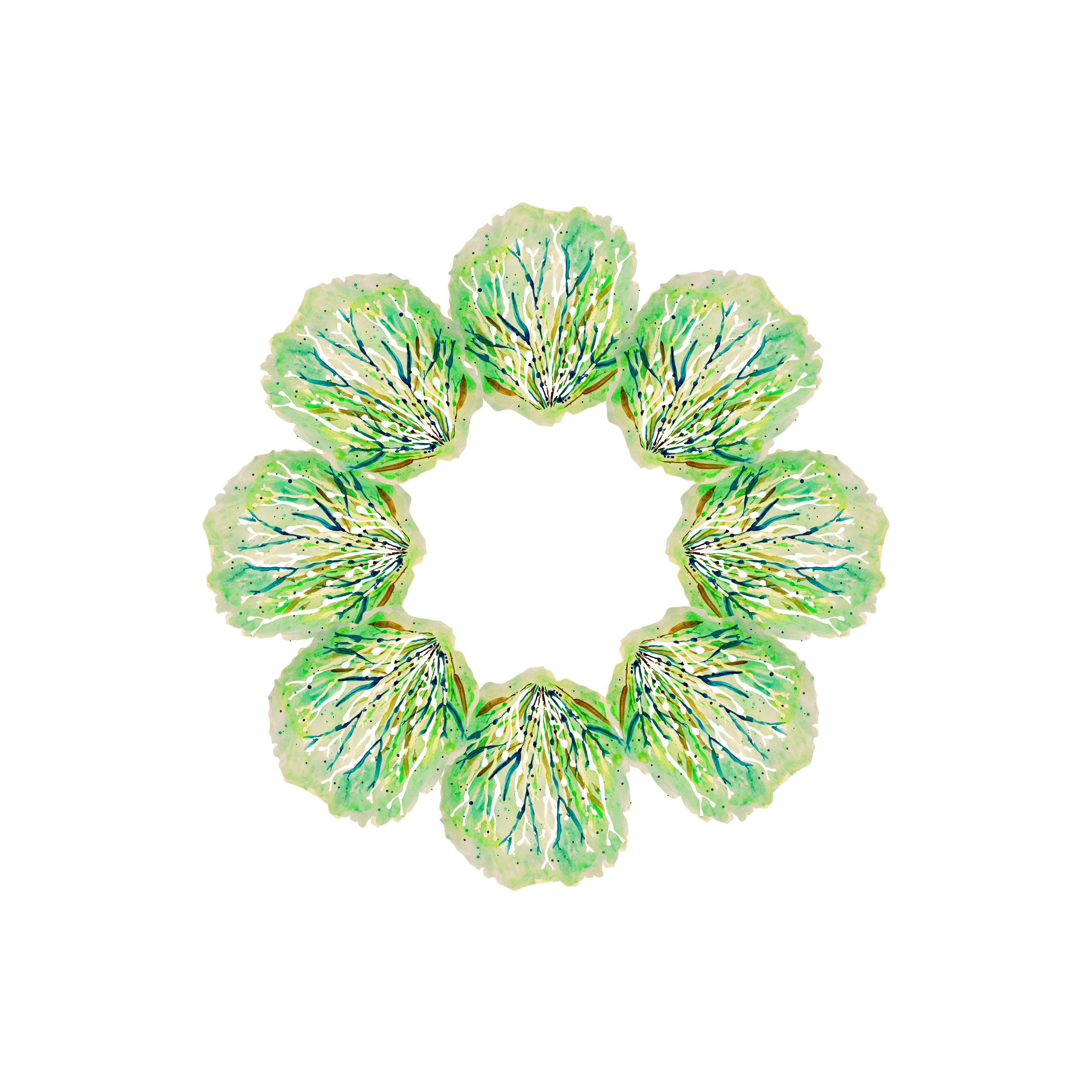 Sea Cabbage Kristin Fuhrmann Simmons