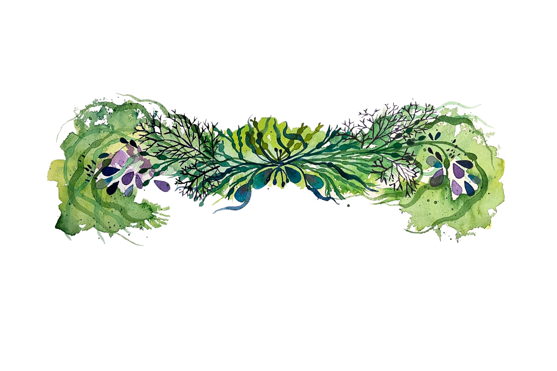Seaweed Lintel Kristin Fuhrmann Simmons Cards