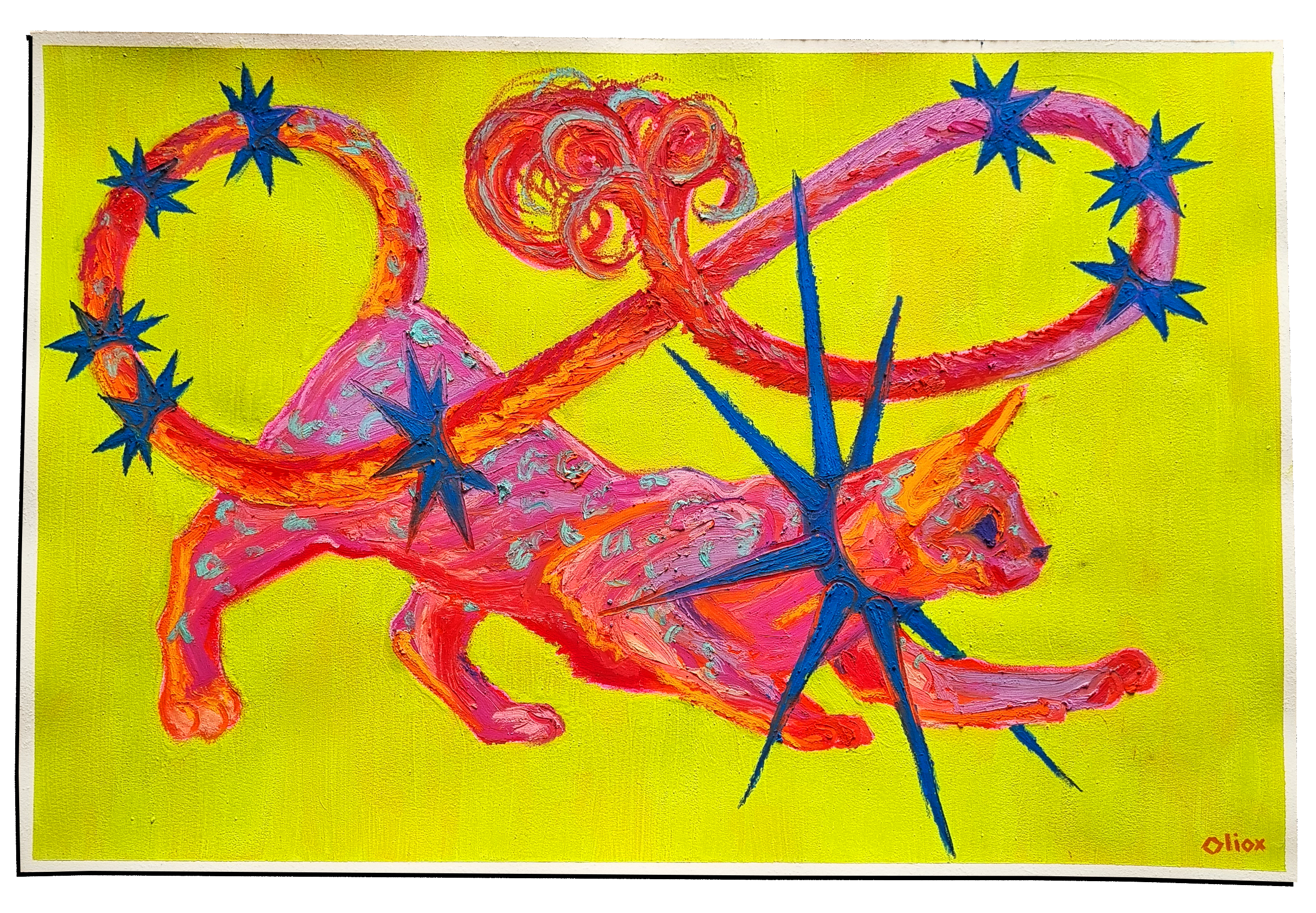 Stargazer