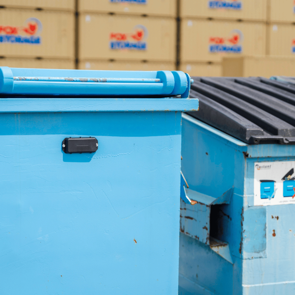 04. Manta 5